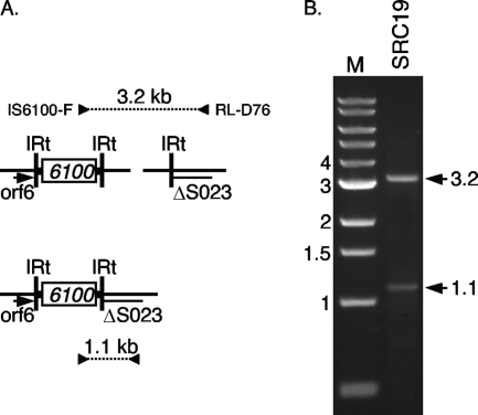 FIG. 3.