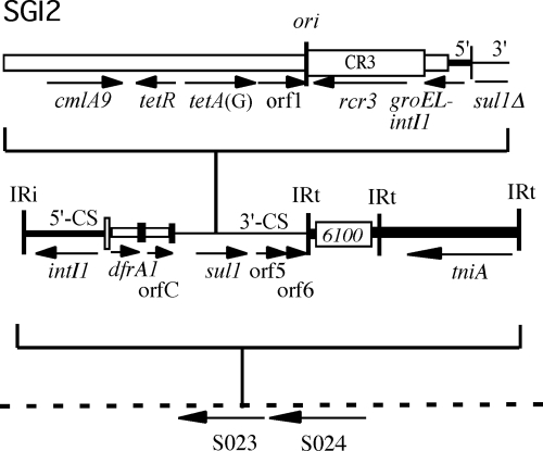 FIG. 2.