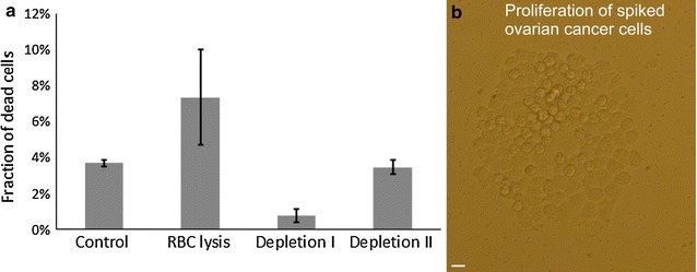 Fig. 4