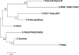 Fig 7