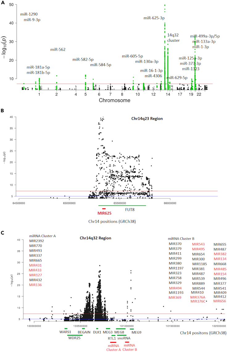 Figure 2