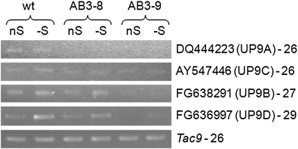 Figure 3.