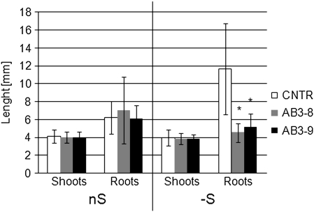 Figure 5.