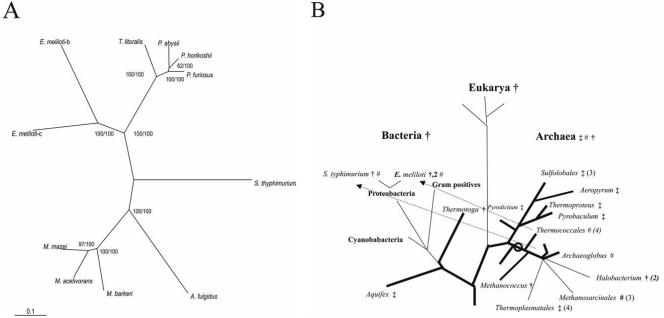 FIG. 5.