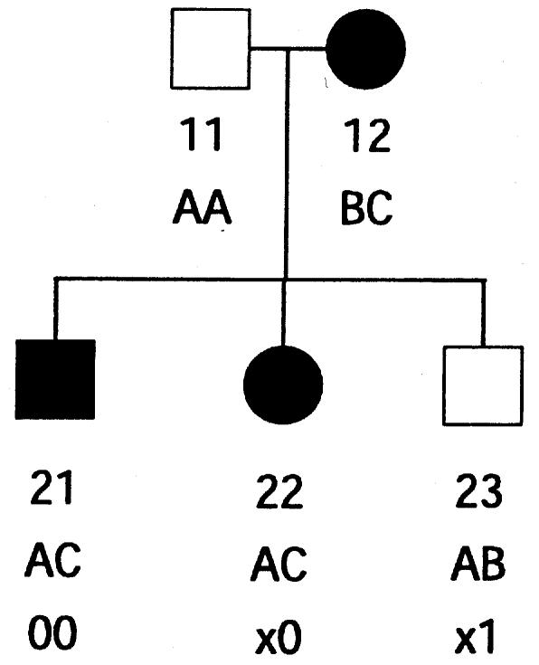 Figure  1