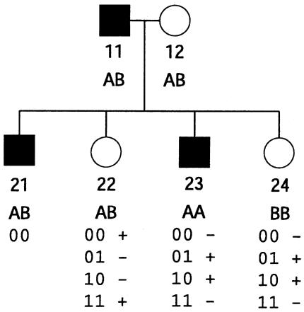 Figure  2