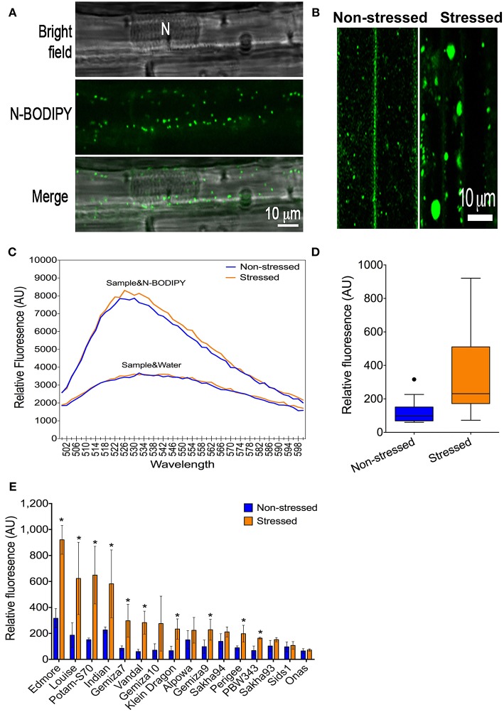 Figure 2