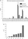 Fig. 10.