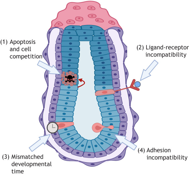 Fig. 3.