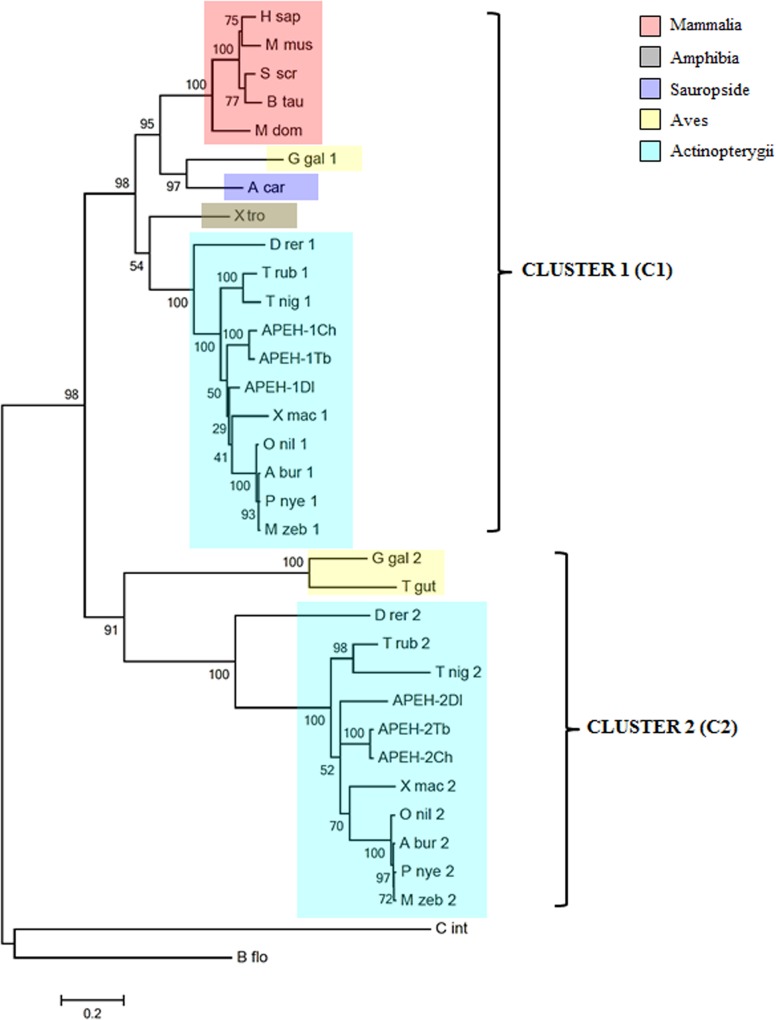 Fig 1