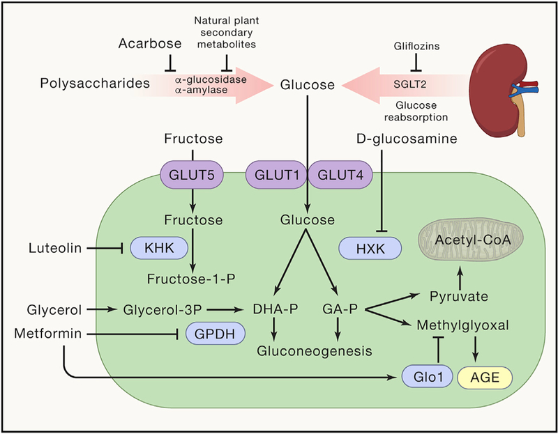 Figure 3.