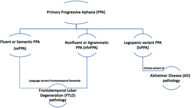 FIG 1.