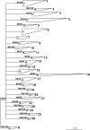 FIG. 1.