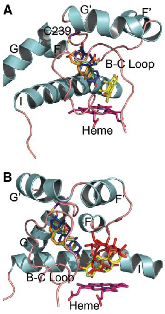 FIG. 5