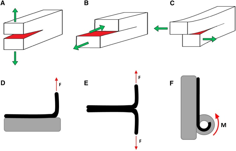 Fig. 1