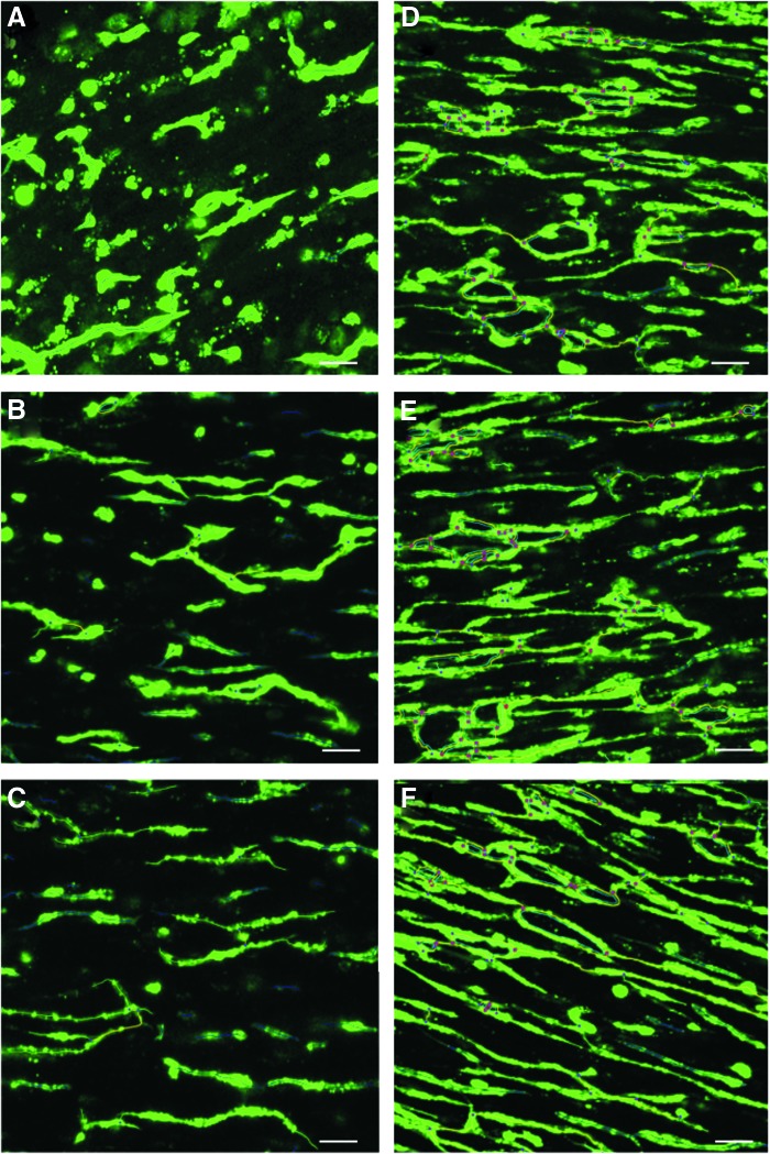 FIG. 4.