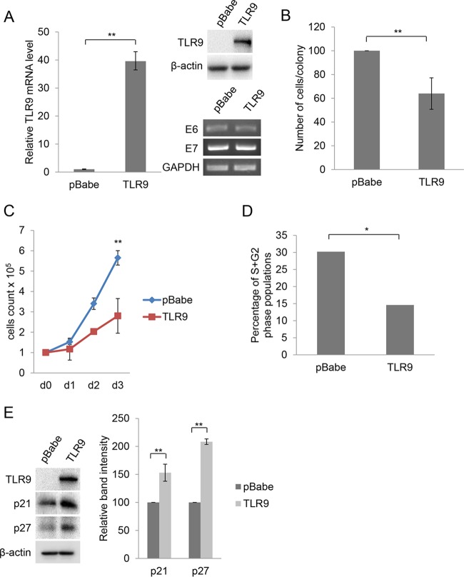 FIG 6