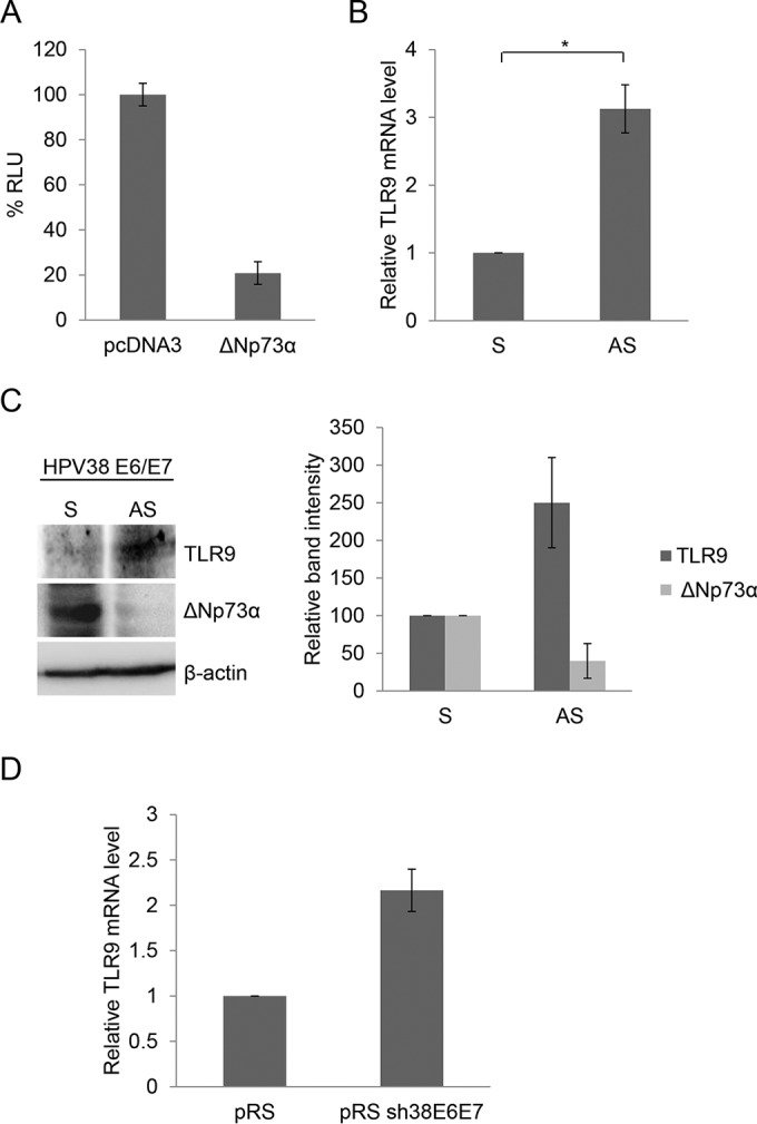 FIG 2