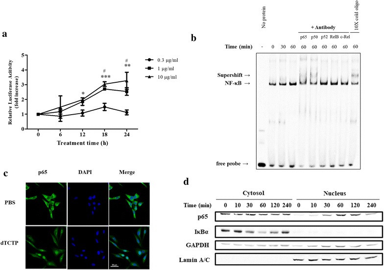 Fig. 3