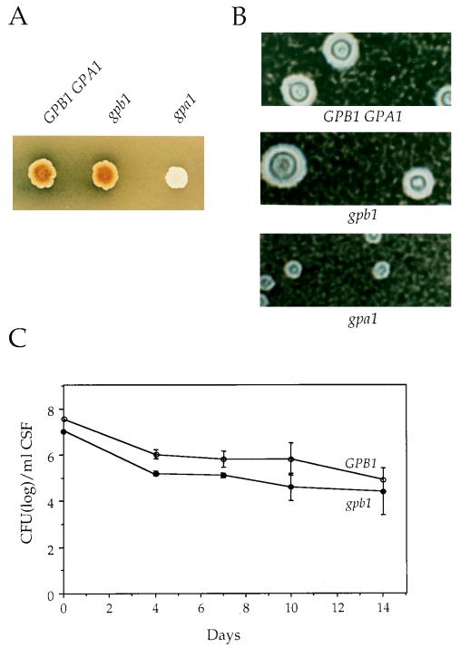 FIG. 5