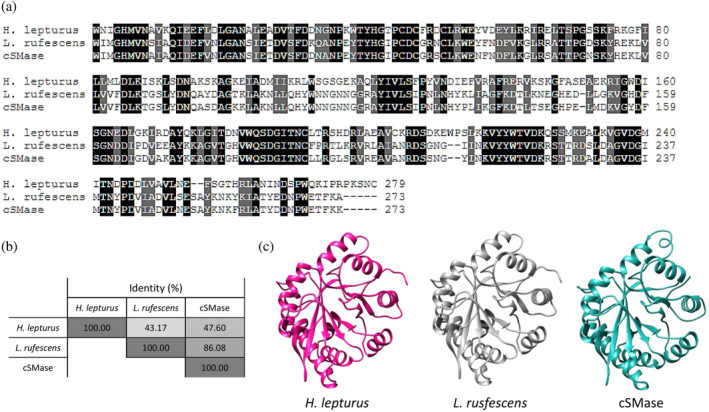 FIGURE 1