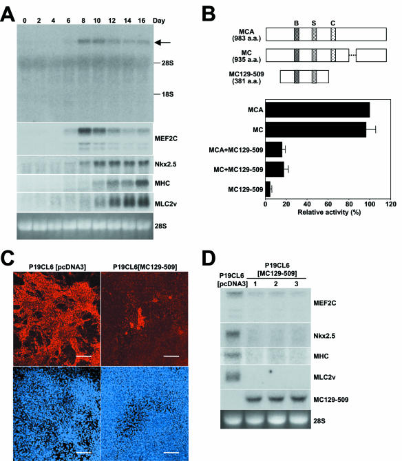 FIG. 6.