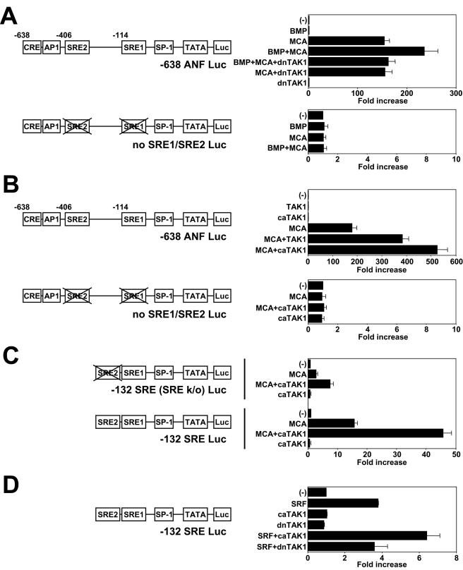 FIG. 7.