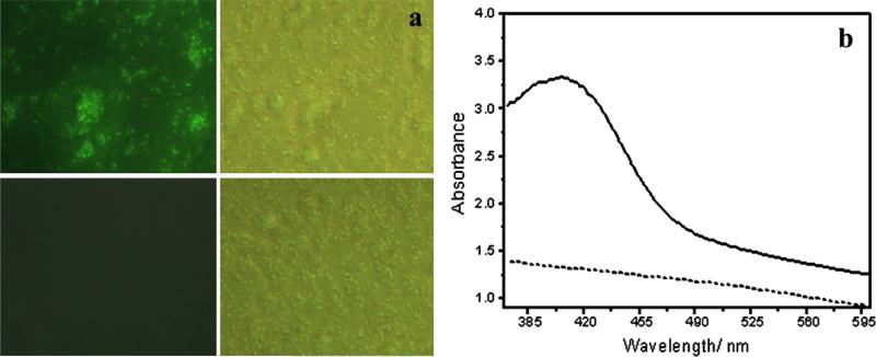 Fig. 10