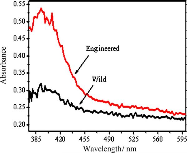 Fig. 12