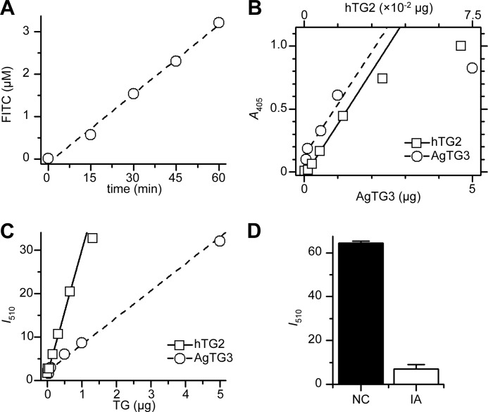 FIGURE 5.