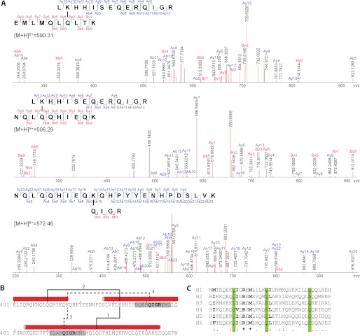 FIGURE 6.