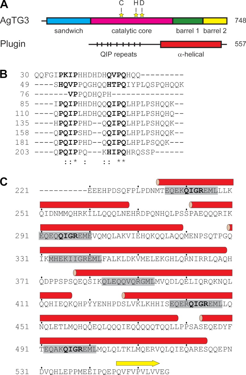 FIGURE 1.