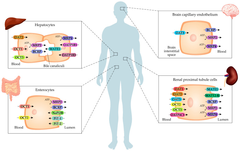 Figure 2