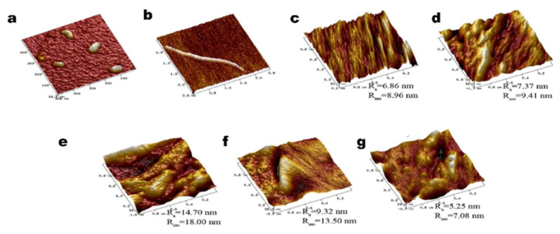 Figure 7