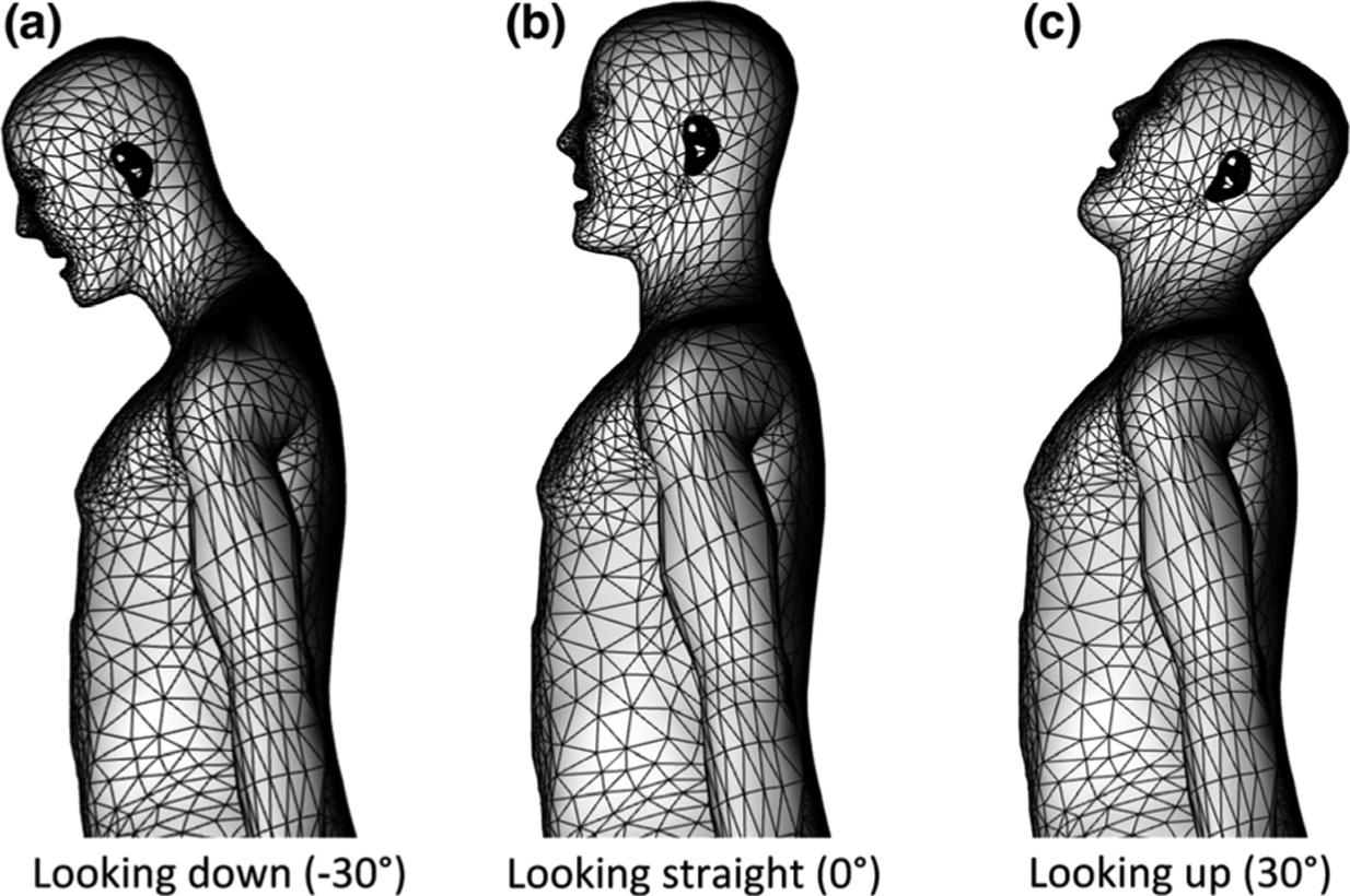 Fig. 3.