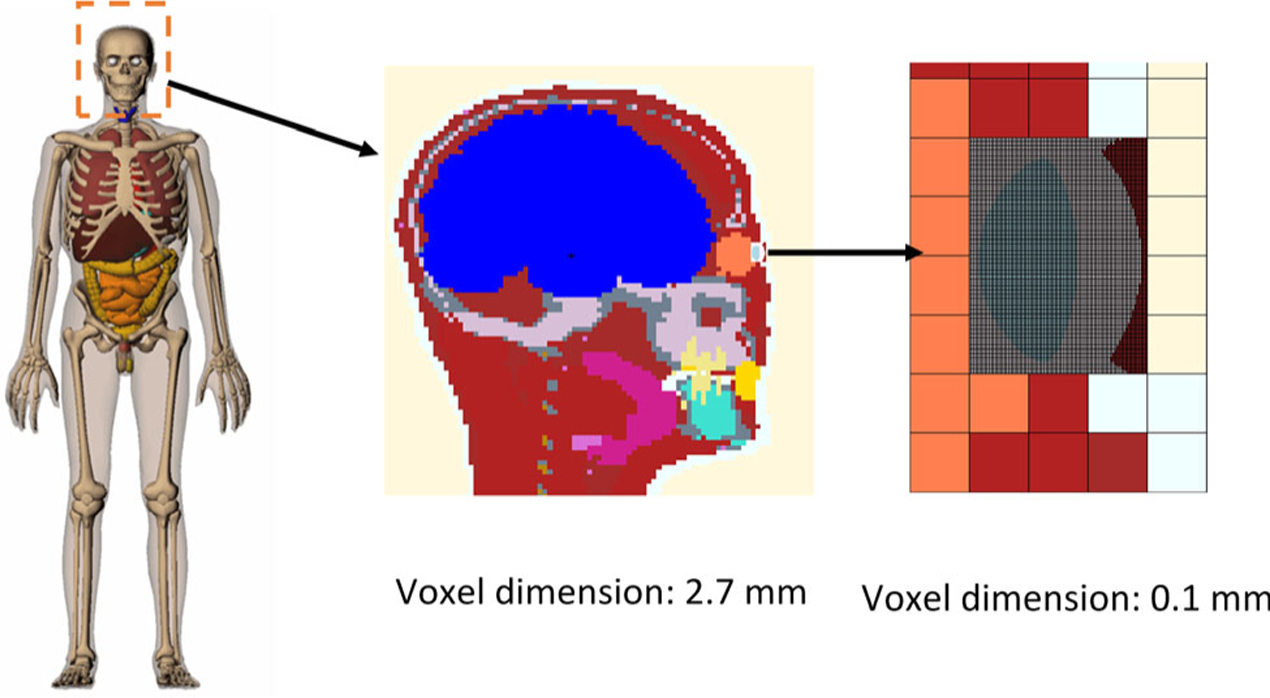 Fig. 2.