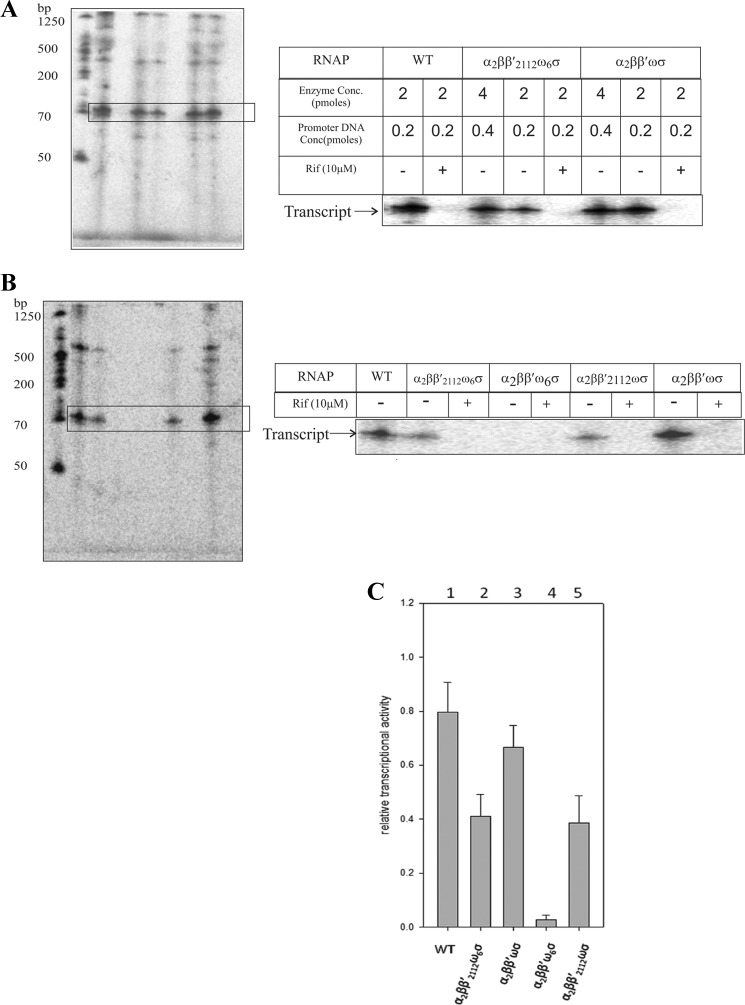 FIGURE 7.