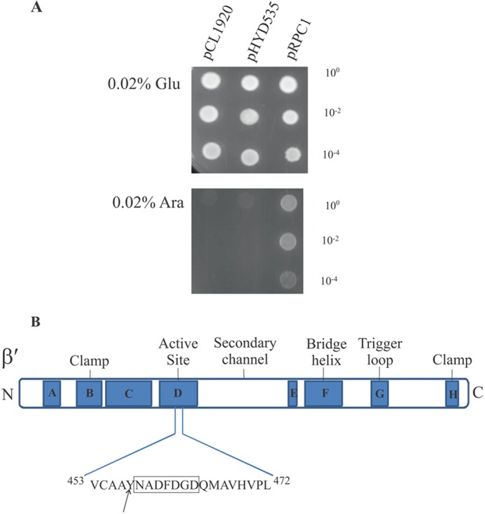 FIGURE 6.