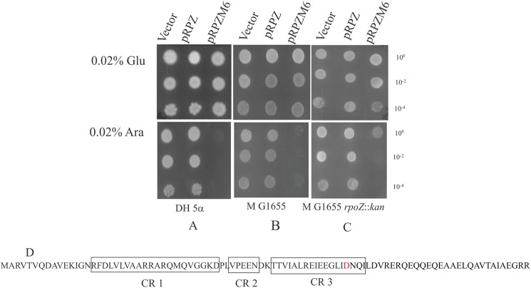 FIGURE 1.