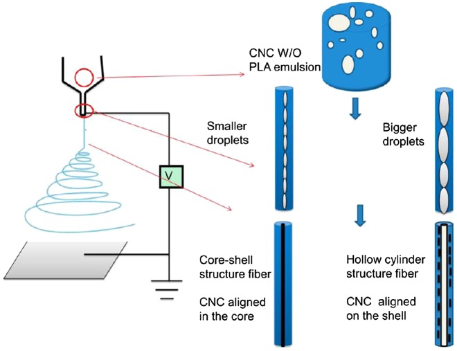 Figure 11.