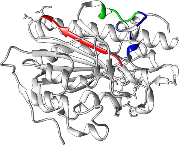 Fig. 1