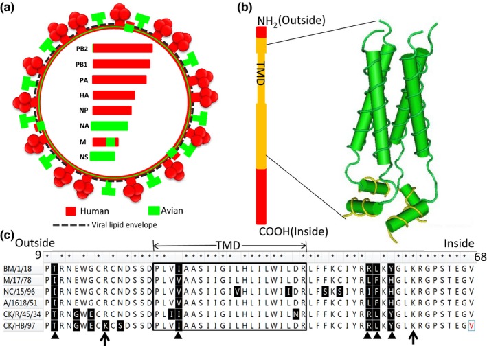 Figure 4