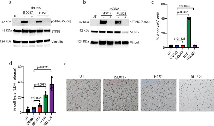 Fig 4