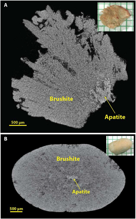 Figure 6.