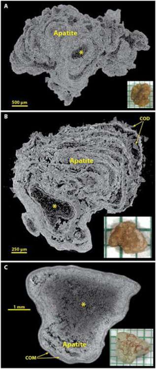 Figure 5.