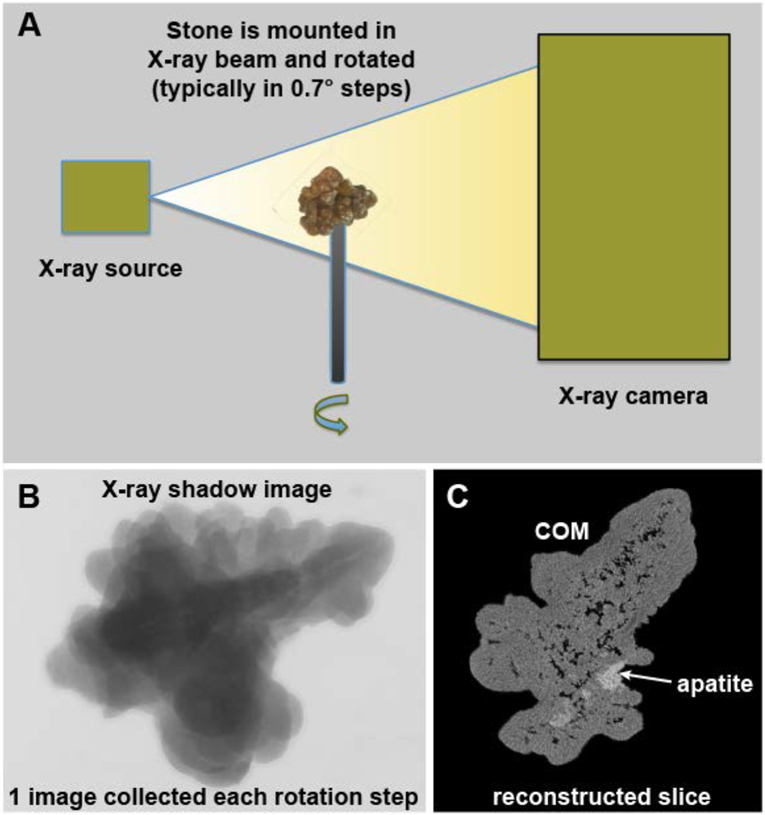 Figure 1.