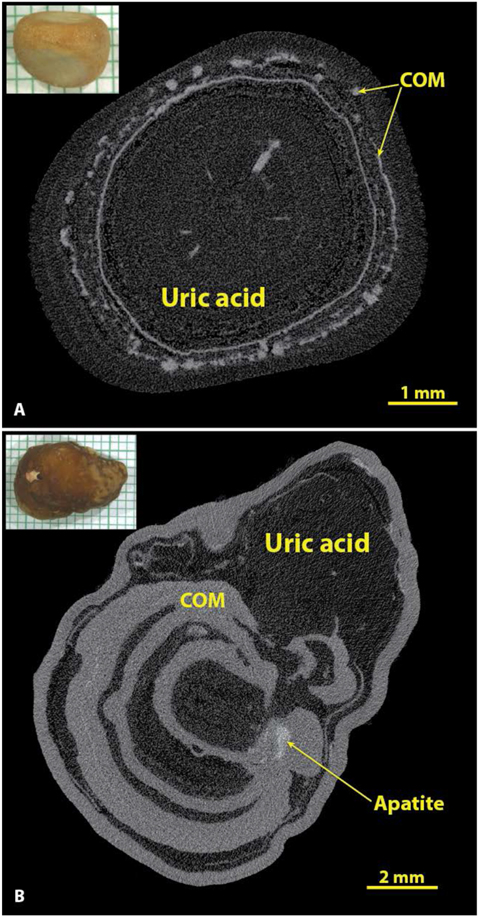 Figure 7.