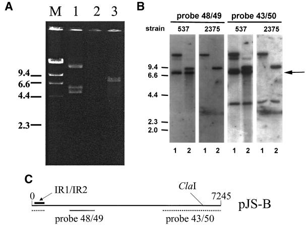 FIG. 1