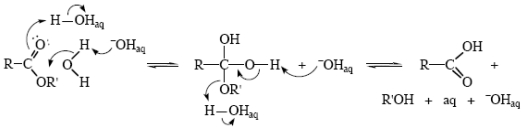 Scheme XII