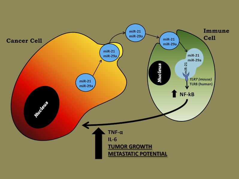 Fig. P1.